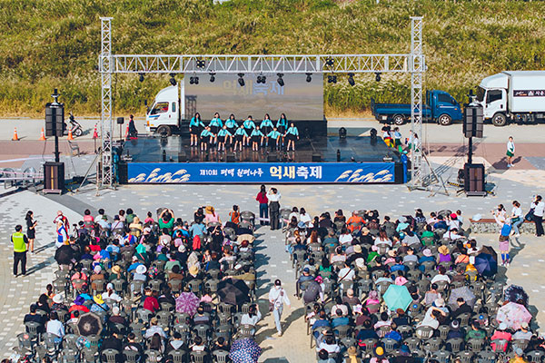 평택 원평나루 억새축제 사진2